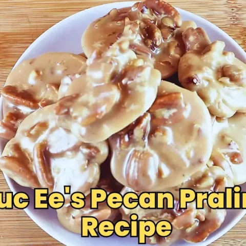 Buc Ee's Pecan Praline Recipe (1)