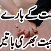 Buddy – More Than Just a Friend: Urdu Meaning and Cultural Insight