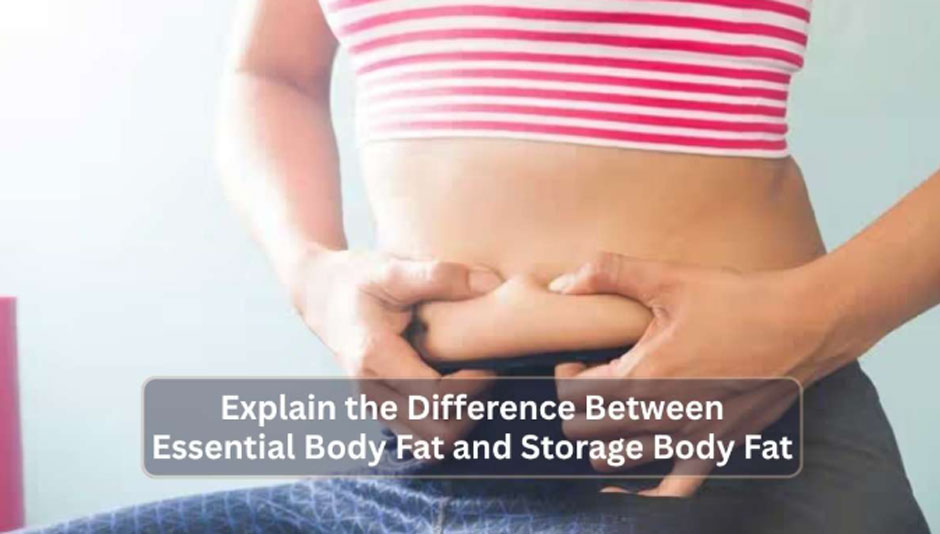 Explain the Difference Between Essential Body Fat and Storage Body Fat