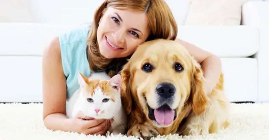 How to Train Your Pet Using Positive Reinforcement