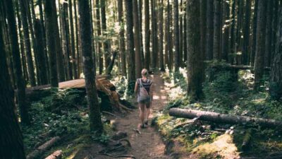 Easy-and-Enjoayable-Ways-to-Reduce-Your-Environmental-Impact-at-Home