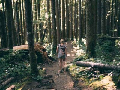 Easy-and-Enjoayable-Ways-to-Reduce-Your-Environmental-Impact-at-Home