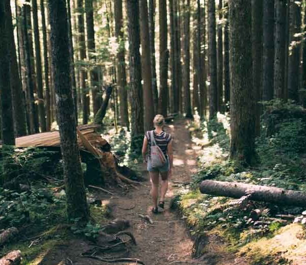 Easy-and-Enjoayable-Ways-to-Reduce-Your-Environmental-Impact-at-Home