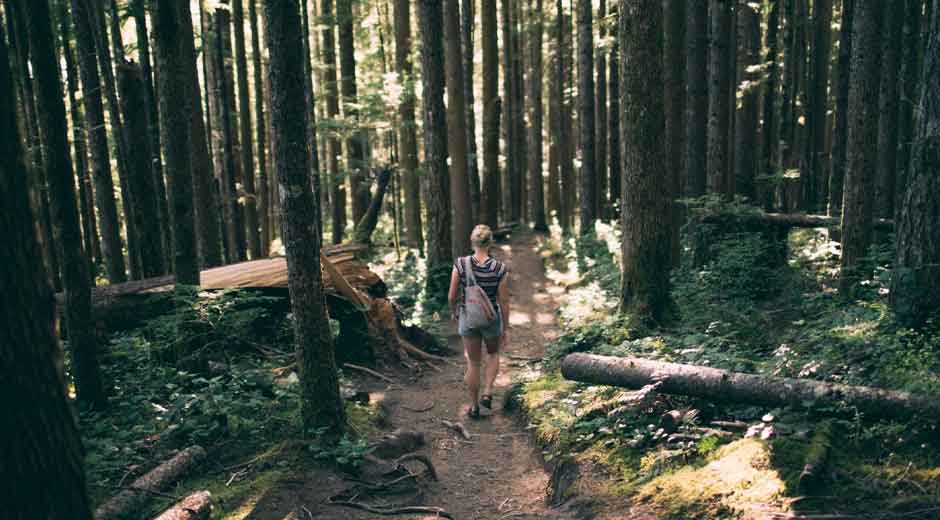 Easy-and-Enjoayable-Ways-to-Reduce-Your-Environmental-Impact-at-Home