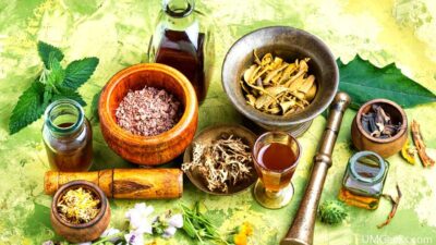 Herbciepscam: Unmasking the Deceptive World of Online Herbal Scams