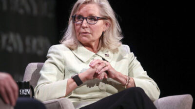 Liz Cheney Net Worth: Unpacking the Financial Journey of a Political Figure