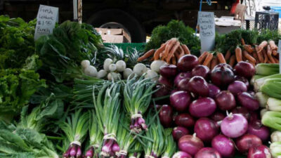 A Guide to Seasonal Vegetables from Your Local Farm Market