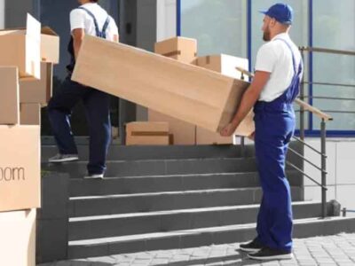 Moving-Without-the-Mayhem-How-Professional-Movers-Help-Ease-the-Stress-of-Relocating
