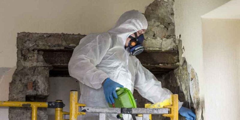 The-Role-of-Asbestos-Surveys-in-Property-Sales