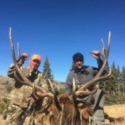 The Top Three Hunting Lessons to Learn as a Beginner
