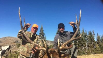 The Top Three Hunting Lessons to Learn as a Beginner