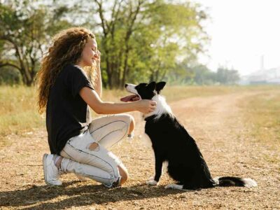 Owner’s Toolkit: Essential Tips for Managing Your Dog’s Stress