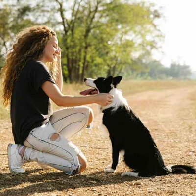 Owner’s Toolkit: Essential Tips for Managing Your Dog’s Stress