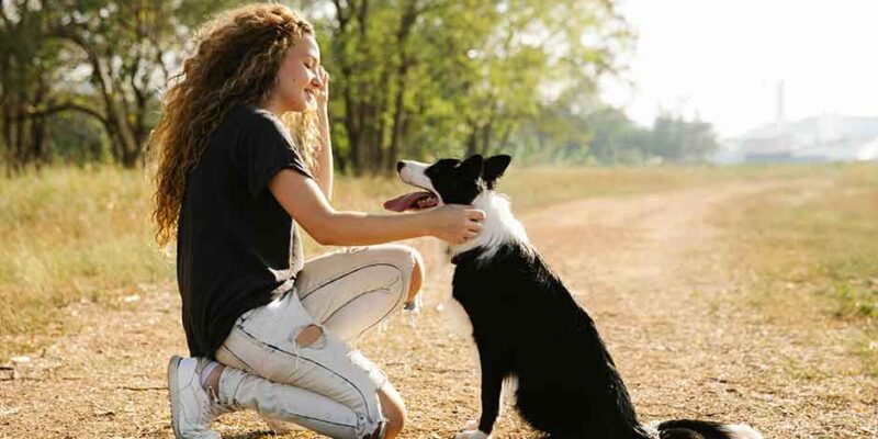 Owner’s Toolkit: Essential Tips for Managing Your Dog’s Stress